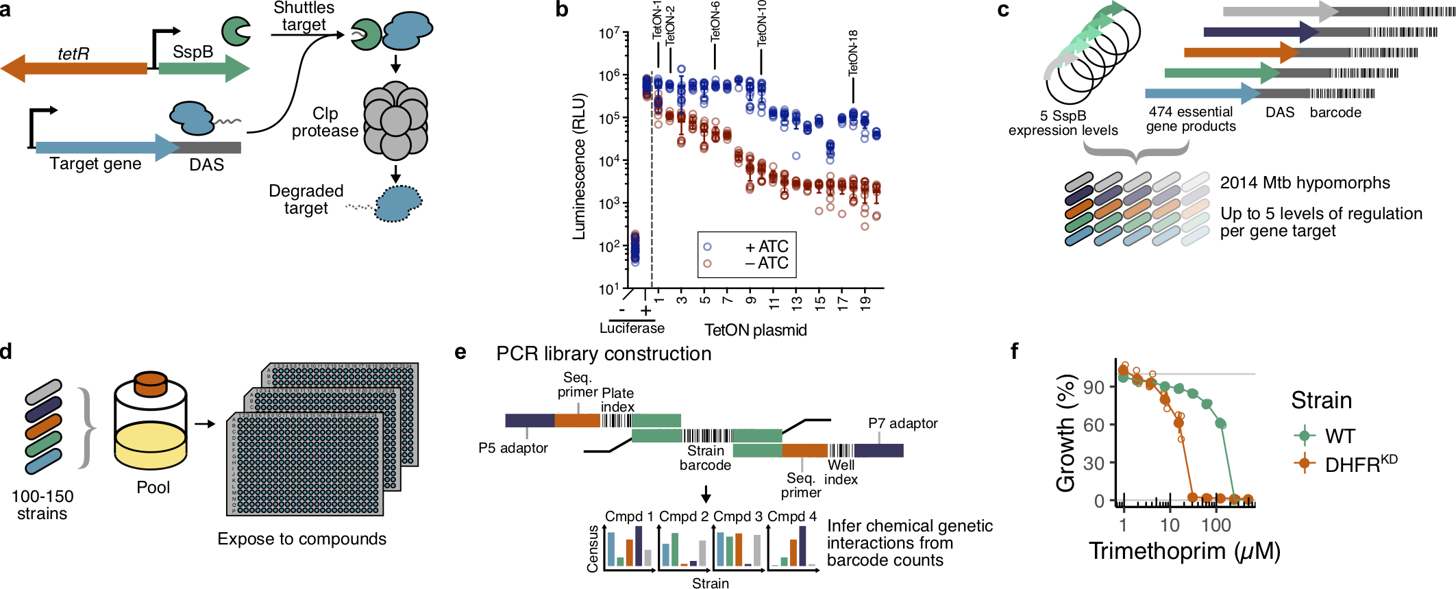 EDFig1